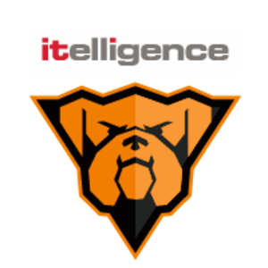 itelligence-Bulldogs-Brno-logo300